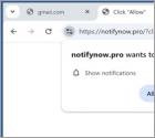Notifynow.pro Anúncios