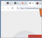 Attempt To Log Into Your Gmail Account Fraude