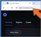 Coinbase Wallet X-Mas Registration Fraude