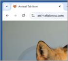 Animaltabnow.com Redireccionamento