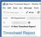 Fraude por Email Timesheet Report