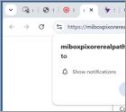 Miboxpixorerealpath.com Anúncios