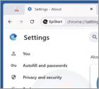 EpiStart (EpiBrowser) Aplicação não desejada