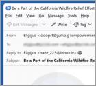 Fraude por Email Binance Charity - California Wildfires Fundraiser