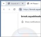 Sayadsleads.top Anúncios