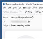 Fraude por Email Business Proposal Meeting