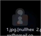 Nullhexxx Ransomware