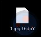 Maximsru Ransomware