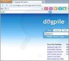 Redirecionamento Dogpile