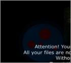 Ransomware Virus-encoder