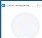 Redirecionamento Searchincognito.com