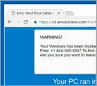 Fraude Internet Security Damaged