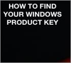 Como encontrar o seu Microsoft Windows ou chaves do Office?