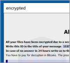 Ransomware Actor