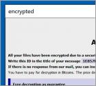 Ransomware BORISHORSE