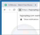 POP-UP do redirecionamento Hajoopteg.com