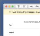 Fraude por Email I'm A Programmer Who Cracked Your
