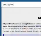 Ransomware Bablo