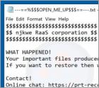 Ransomware njkwe RaaS corporation