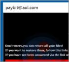 Ransomware payB