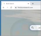 Sequestrador de Navegador Burst Search