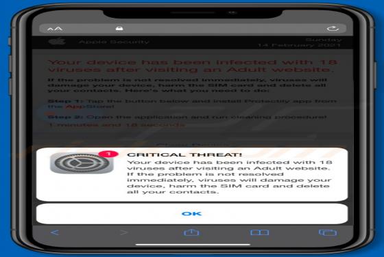 POP-UP da Fraude Device Infected After Visiting An Adult Website (Mac)