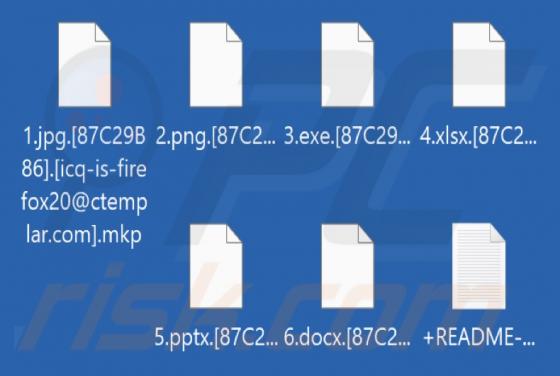 Ransomware Mkp