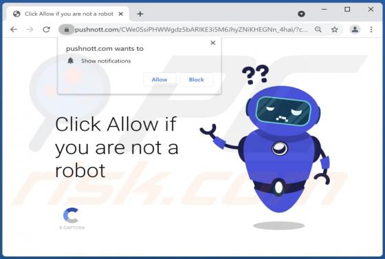 Anúncios Pushnott.com