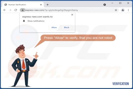 Anúncios Express-new.com