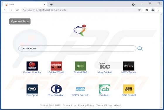 Sequestrador de Navegador Cricket Start