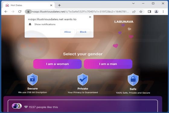 Anúncios Lilustriousdates.net