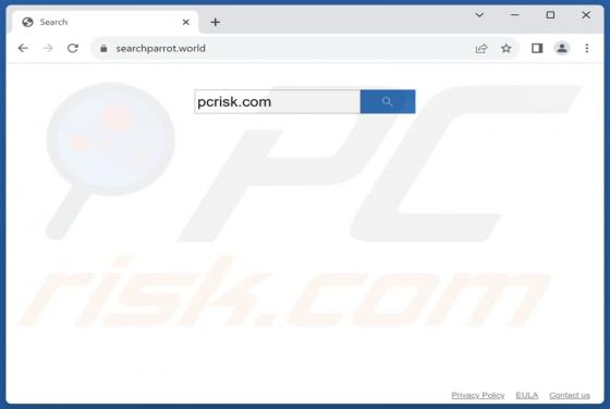 Redirecionamento Searchparrot.world