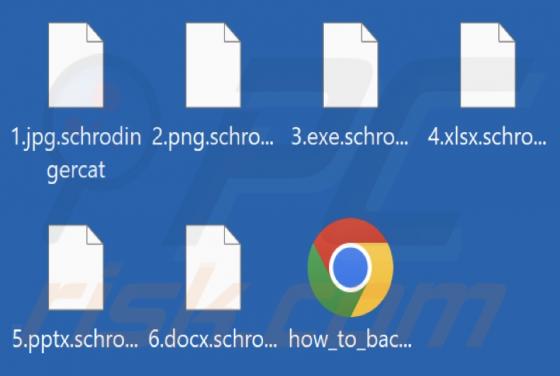 Ransomware SchrodingerCat