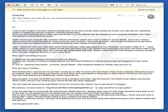 Fraude por Email I Want To Get Straight To The Point