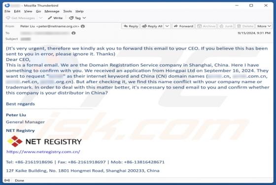 Fraude por Email Domain/Company Name Conflict
