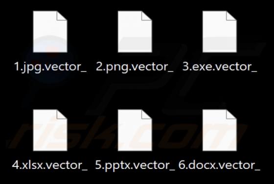 Kadavro Vector Ransomware