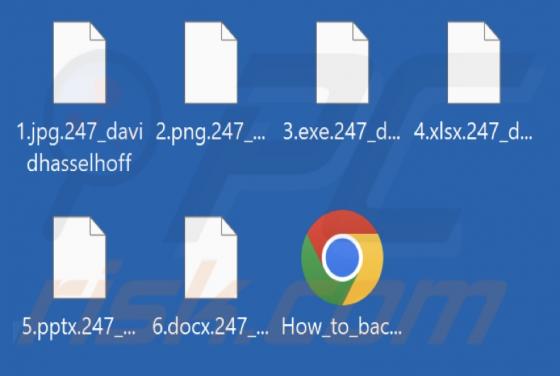 DavidHasselhoff Ransomware