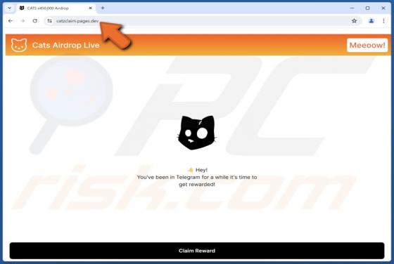 $CATS Airdrop Live Fraude