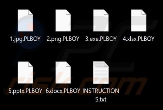 PlayBoy LOCKER Ransomware