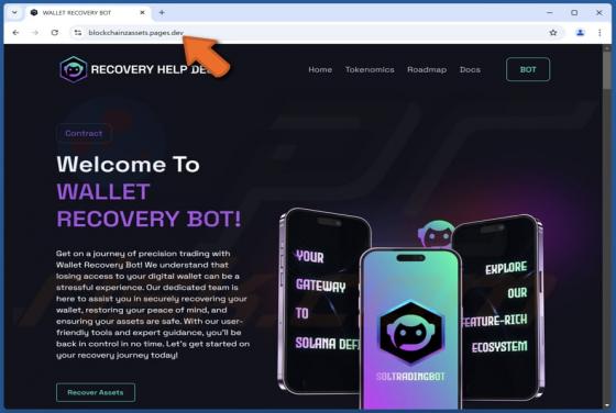 Wallet Recovery Bot Fraude