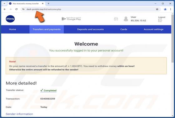 Falso BitPay Wallet Fraude