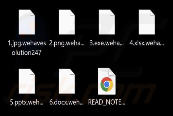 WeHaveSolution Ransomware