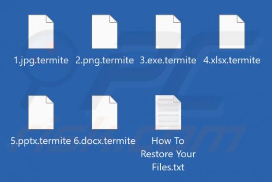 Termite Ransomware