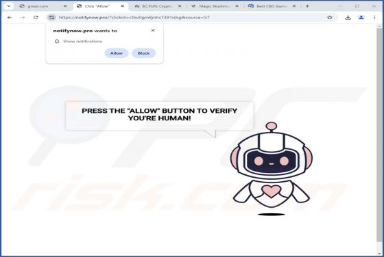 Notifynow.pro Anúncios