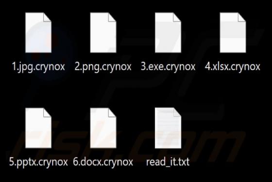 Crynox Ransomware