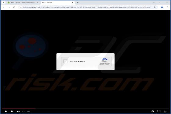Rokinat.co.in Anúncios