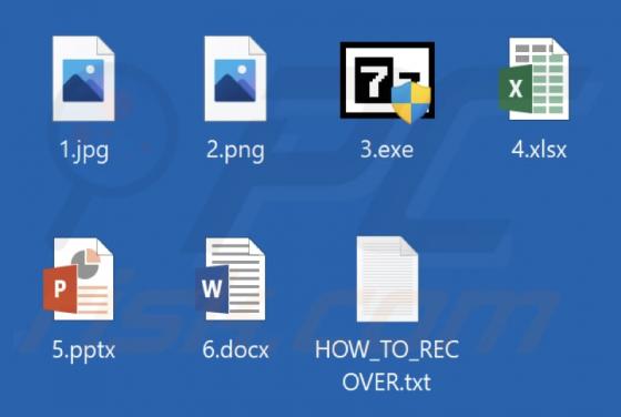 SpiderParadise Ransomware