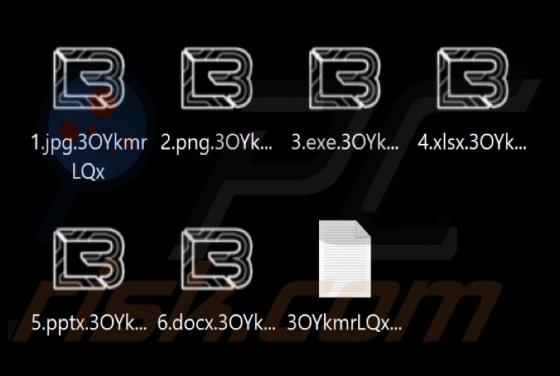 Orion Hackers Ransomware