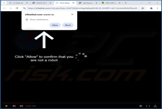 Irlitathal.com Anúncios