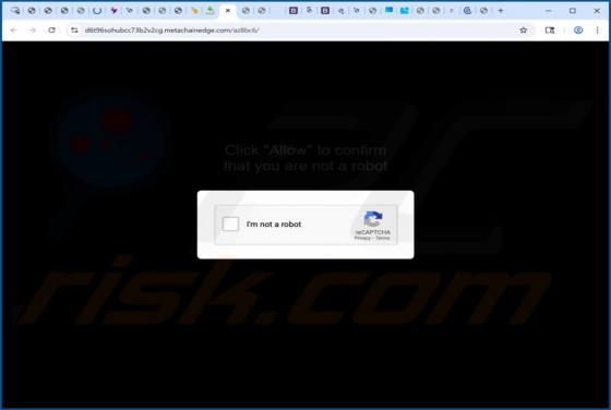 Anúncios do metachainedge.com